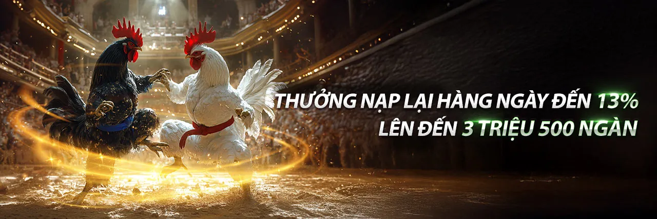 Sân chơi cá cược đá gà trực tuyến MT68 Đá Gà